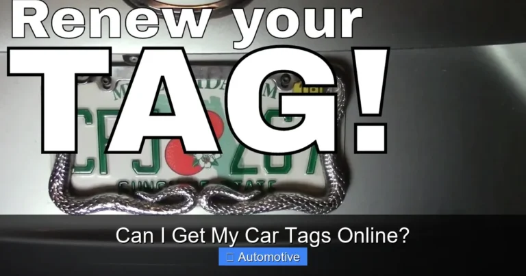 Can I Get My Car Tags Online?