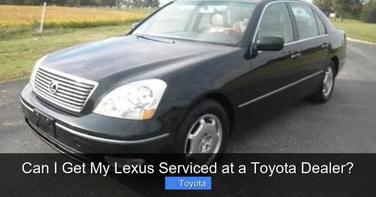 Can I Get My Lexus Serviced at a Toyota Dealer?