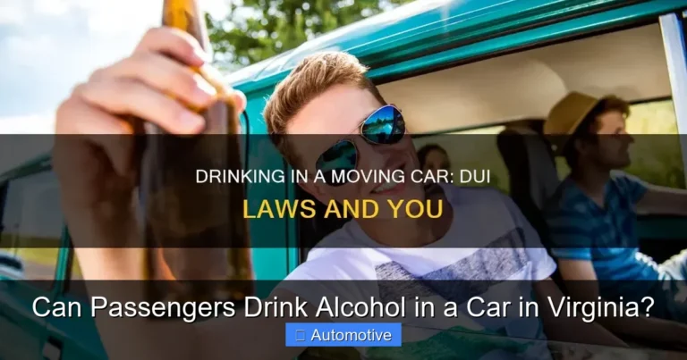 Can Passengers Drink Alcohol in a Car in Virginia?