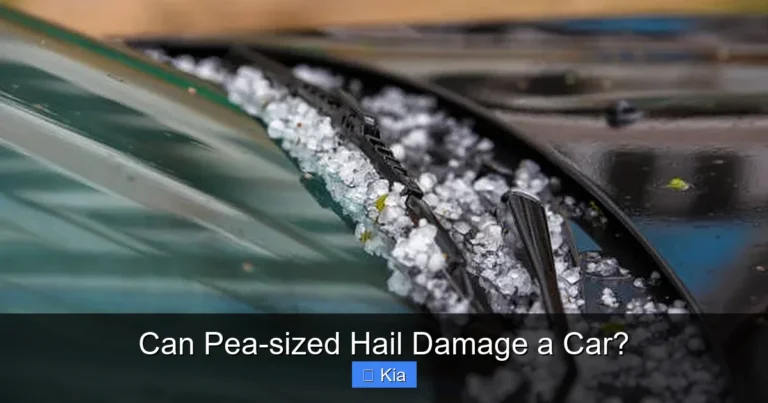 Can Pea-sized Hail Damage a Car?