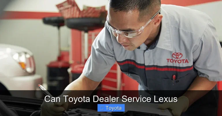Can Toyota Dealer Service Lexus