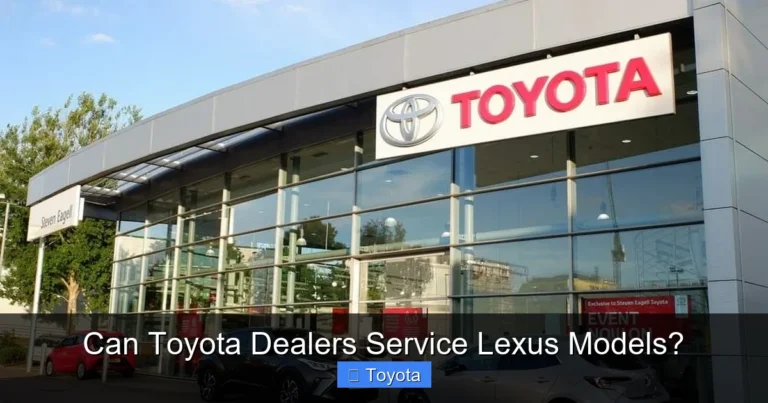 Can Toyota Dealers Service Lexus Models?