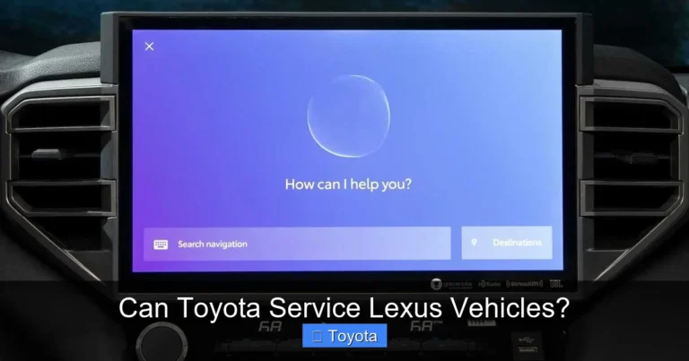 Can Toyota Service Lexus Vehicles?