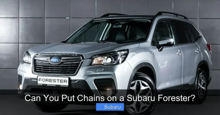 Can You Put Chains on a Subaru Forester?
