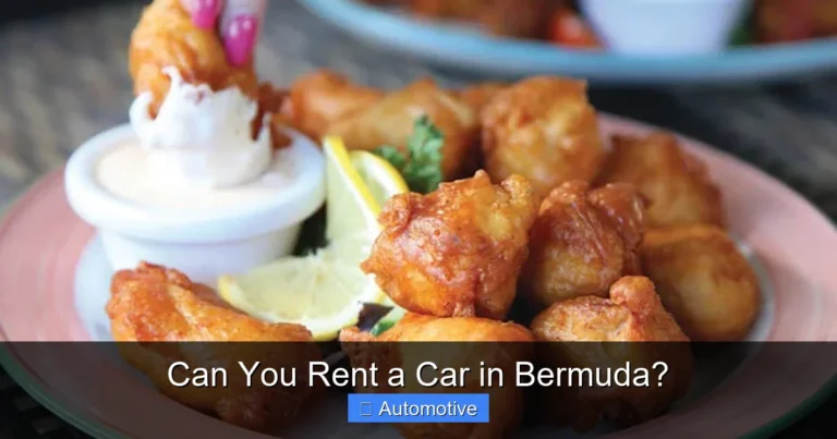 Can You Rent a Car in Bermuda?