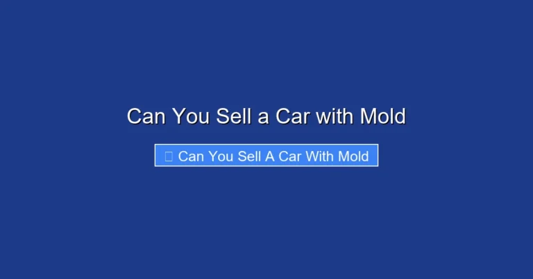 Can You Sell a Car with Mold