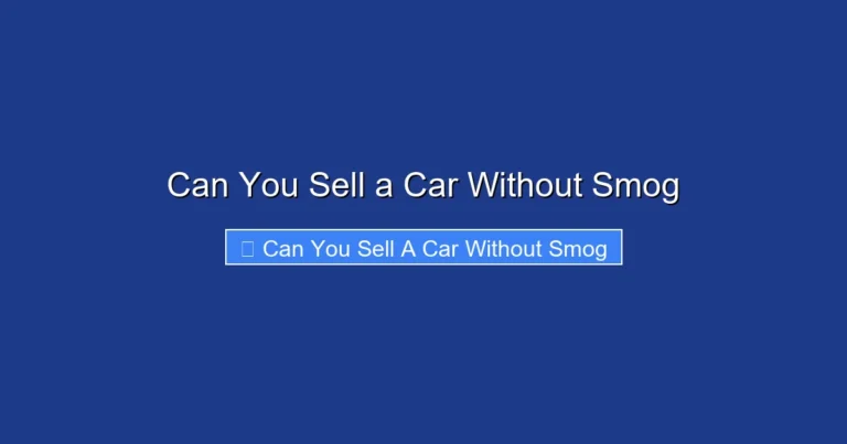 Can You Sell a Car Without Smog