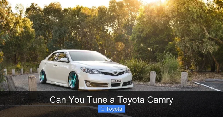 Can You Tune a Toyota Camry