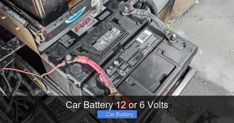 Car Battery 12 or 6 Volts