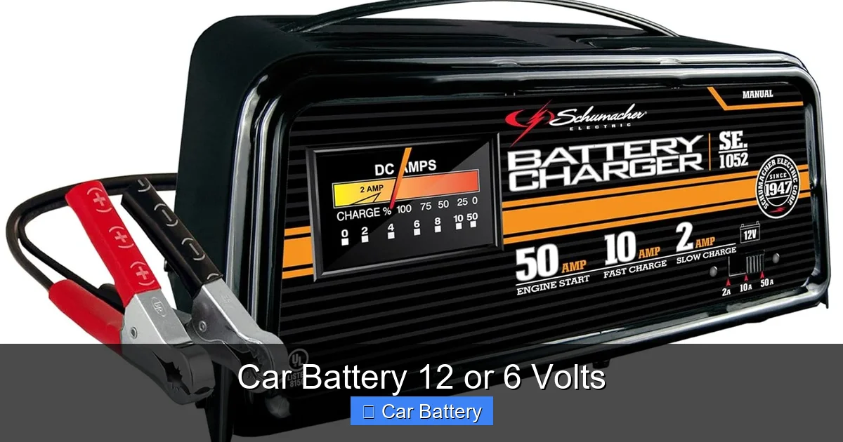 Car Battery 12 or 6 Volts