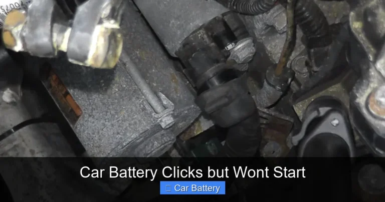 Car Battery Clicks but Wont Start