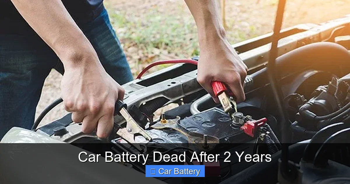 Car Battery Dead After 2 Years
