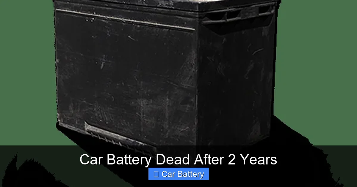 Car Battery Dead After 2 Years
