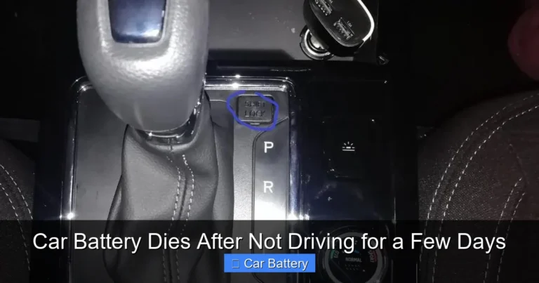 Car Battery Dies After Not Driving for a Few Days