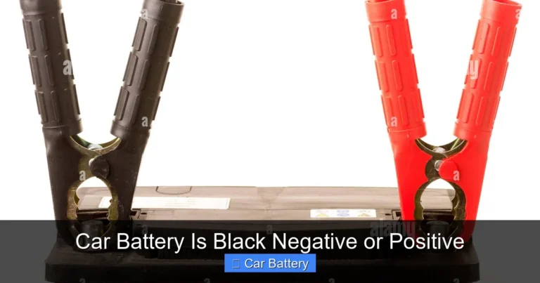 Car Battery Is Black Negative or Positive
