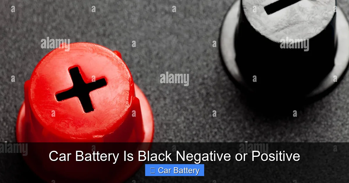 Car Battery Is Black Negative or Positive