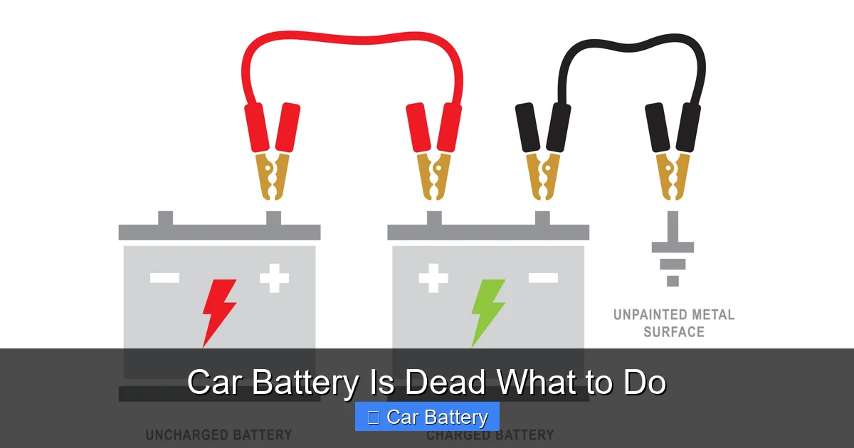Car Battery Is Dead What to Do