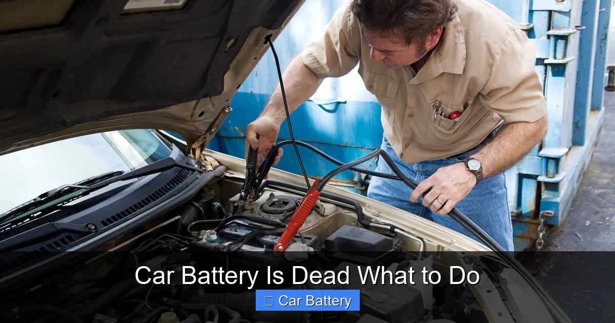 Car Battery Is Dead What to Do