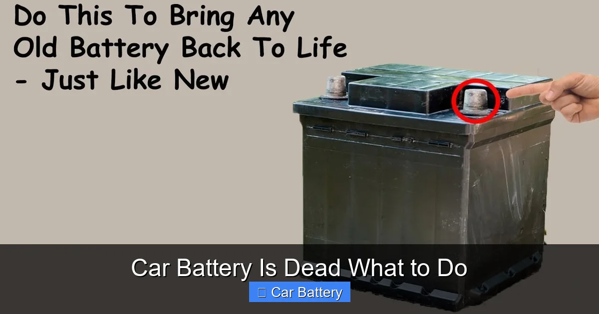 Car Battery Is Dead What to Do