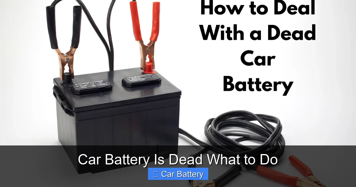 Car Battery Is Dead What to Do