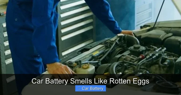 Car Battery Smells Like Rotten Eggs