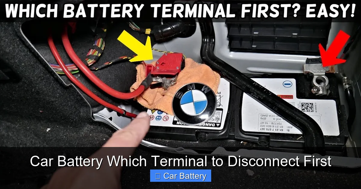 Car Battery Which Terminal to Disconnect First