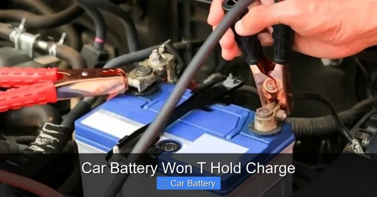 Car Battery Won T Hold Charge