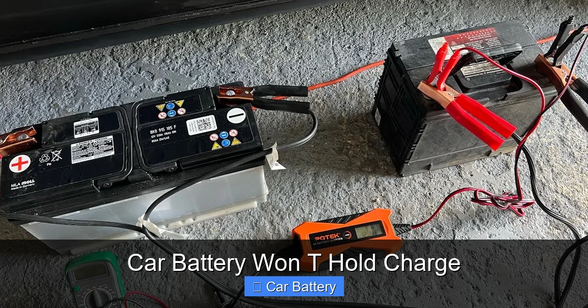 Car Battery Won T Hold Charge