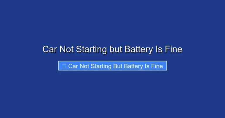 Car Not Starting but Battery Is Fine