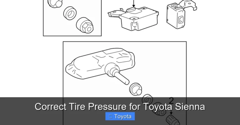 Correct Tire Pressure for Toyota Sienna