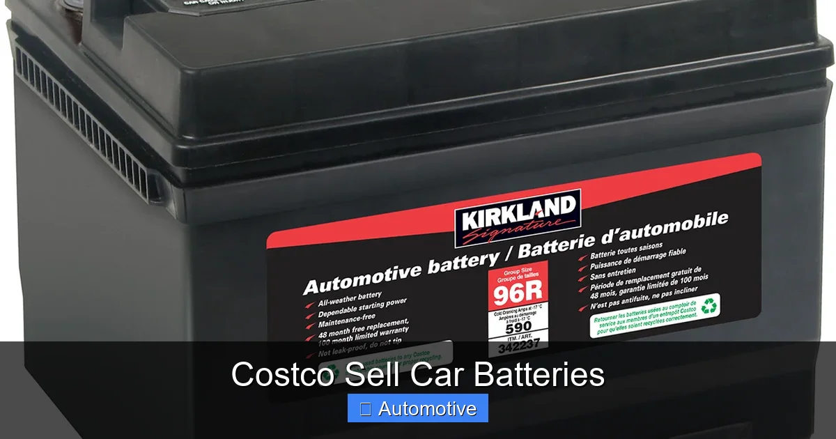 Costco Sell Car Batteries