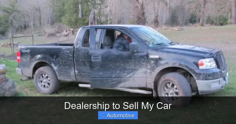 Dealership to Sell My Car