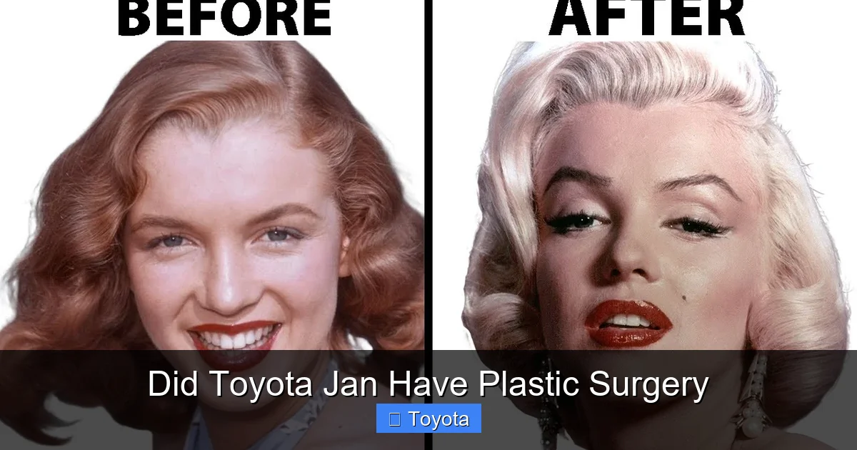 Did Toyota Jan Have Plastic Surgery