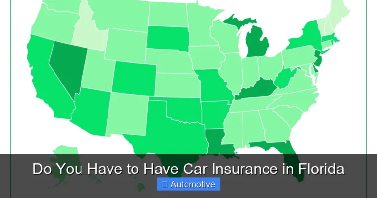 Do You Have to Have Car Insurance in Florida