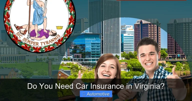 Do You Need Car Insurance in Virginia?