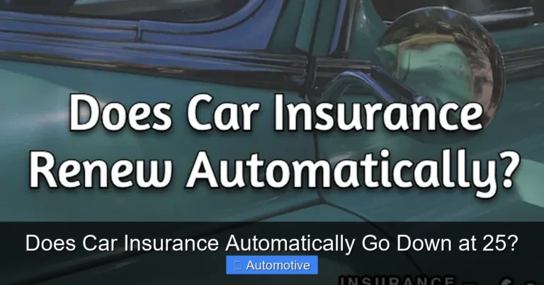 Does Car Insurance Automatically Go Down at 25?
