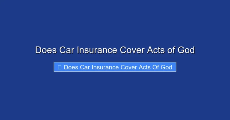 Does Car Insurance Cover Acts of God