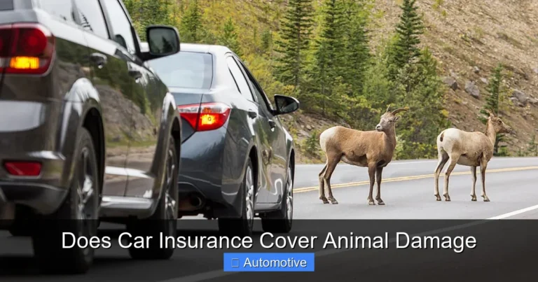 Does Car Insurance Cover Animal Damage