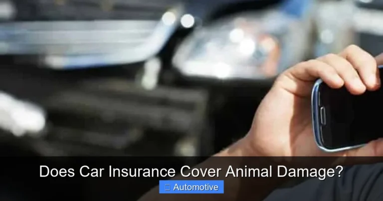 Does Car Insurance Cover Animal Damage?