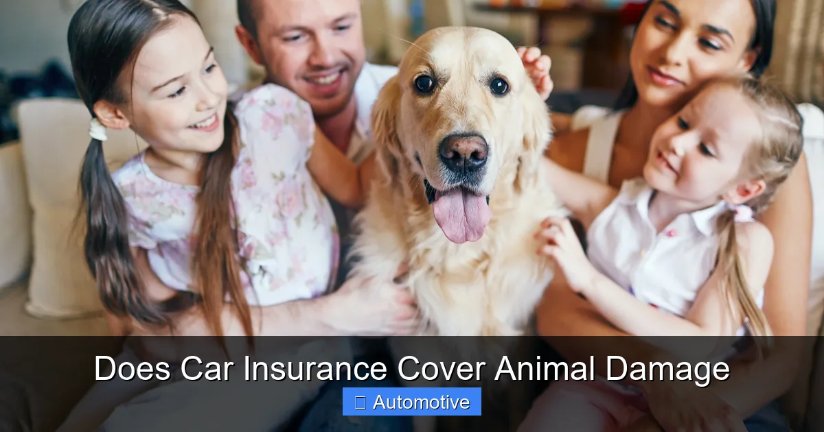 Does Car Insurance Cover Animal Damage