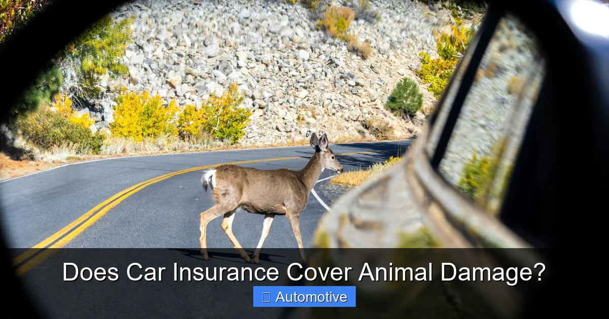 Does Car Insurance Cover Animal Damage?
