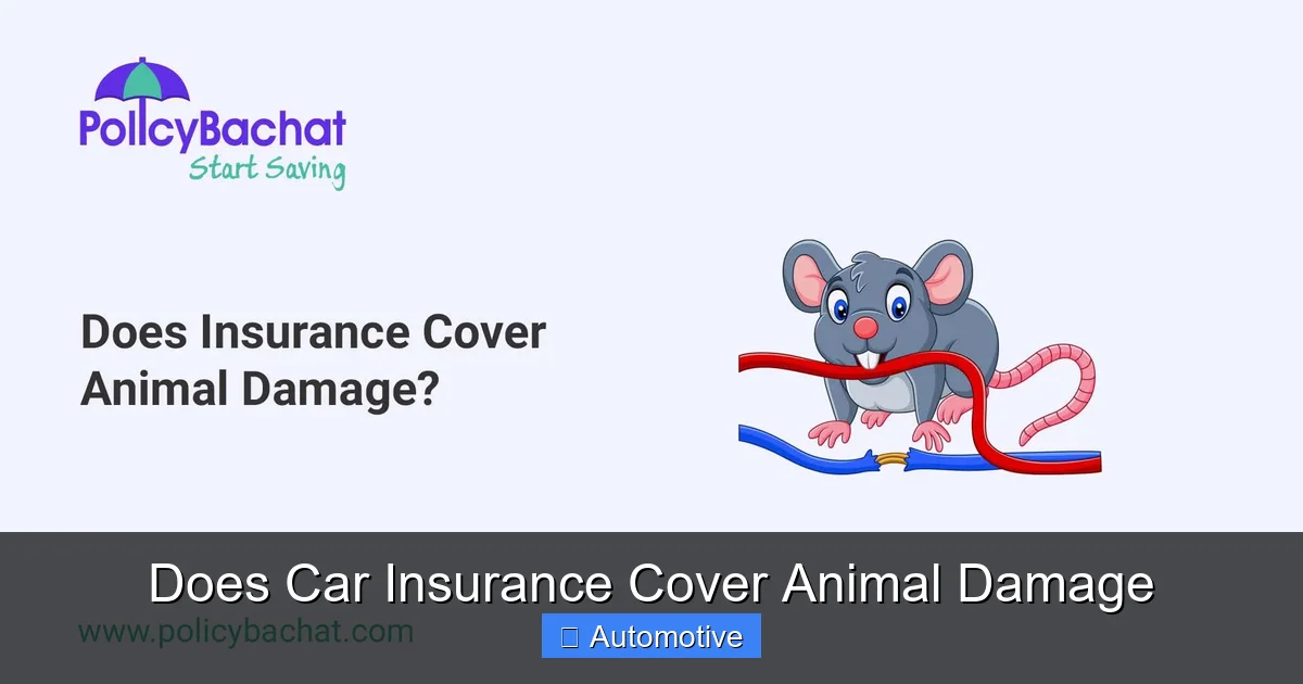 Does Car Insurance Cover Animal Damage