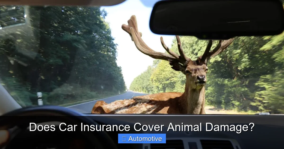 Does Car Insurance Cover Animal Damage?
