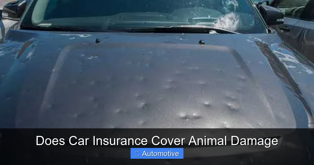 Does Car Insurance Cover Animal Damage