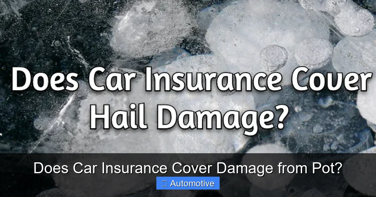 Does Car Insurance Cover Damage from Pot?