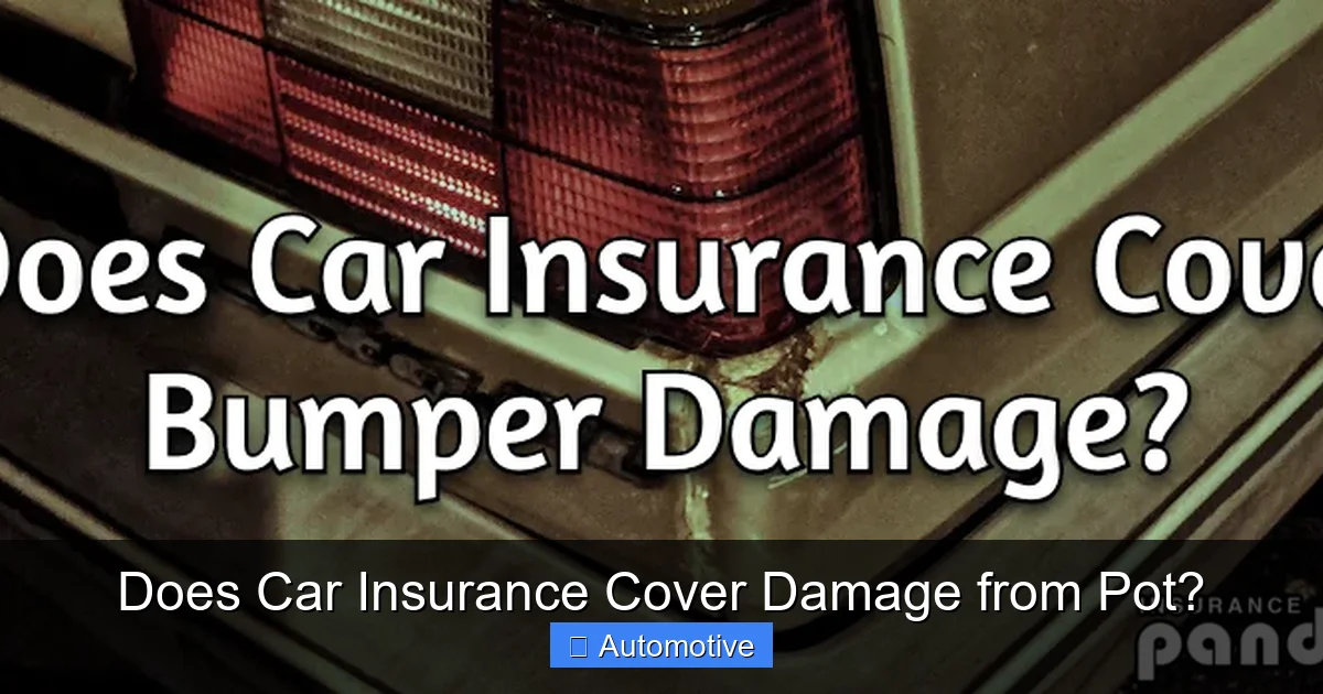 Does Car Insurance Cover Damage from Pot?