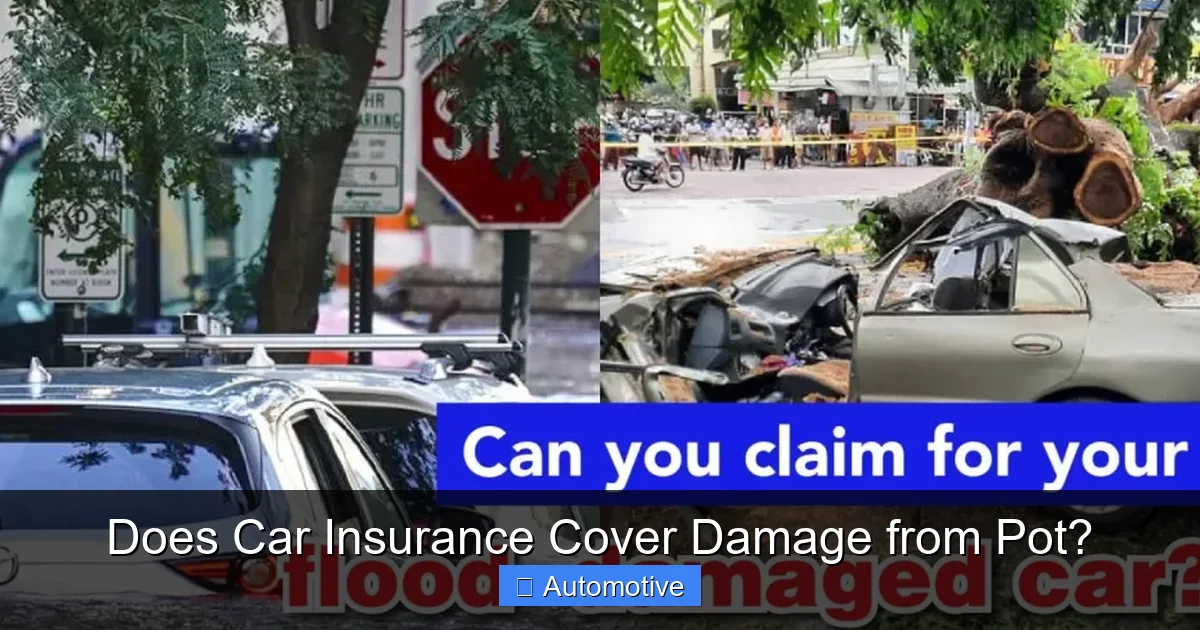 Does Car Insurance Cover Damage from Pot?