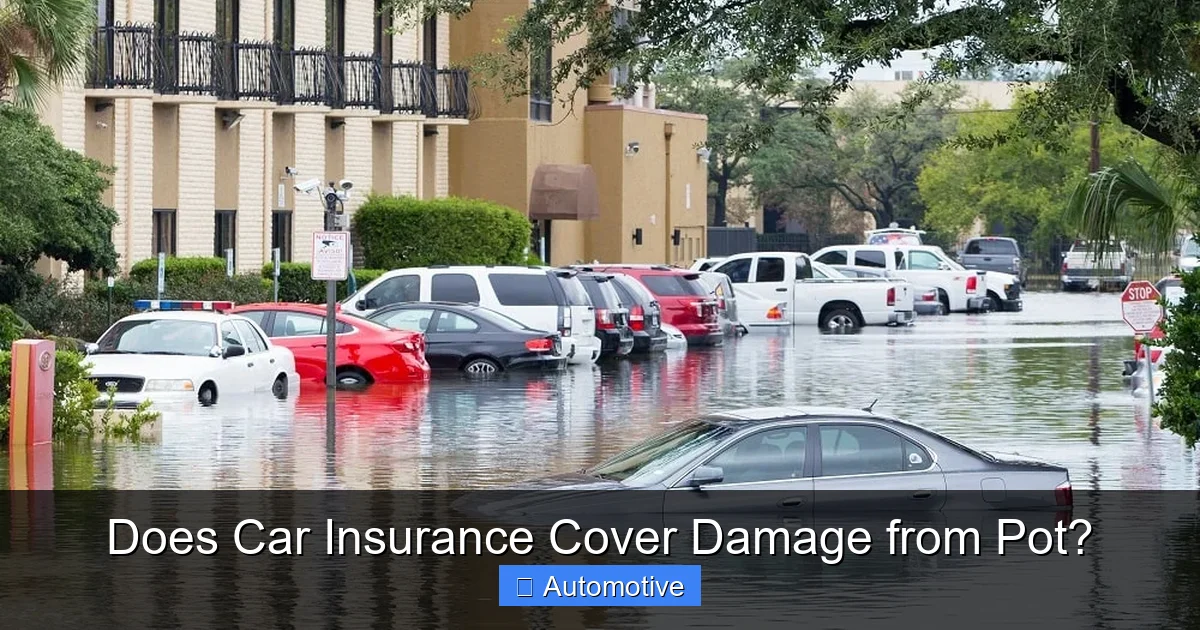 Does Car Insurance Cover Damage from Pot?