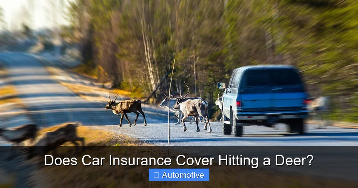 Does Car Insurance Cover Hitting a Deer?