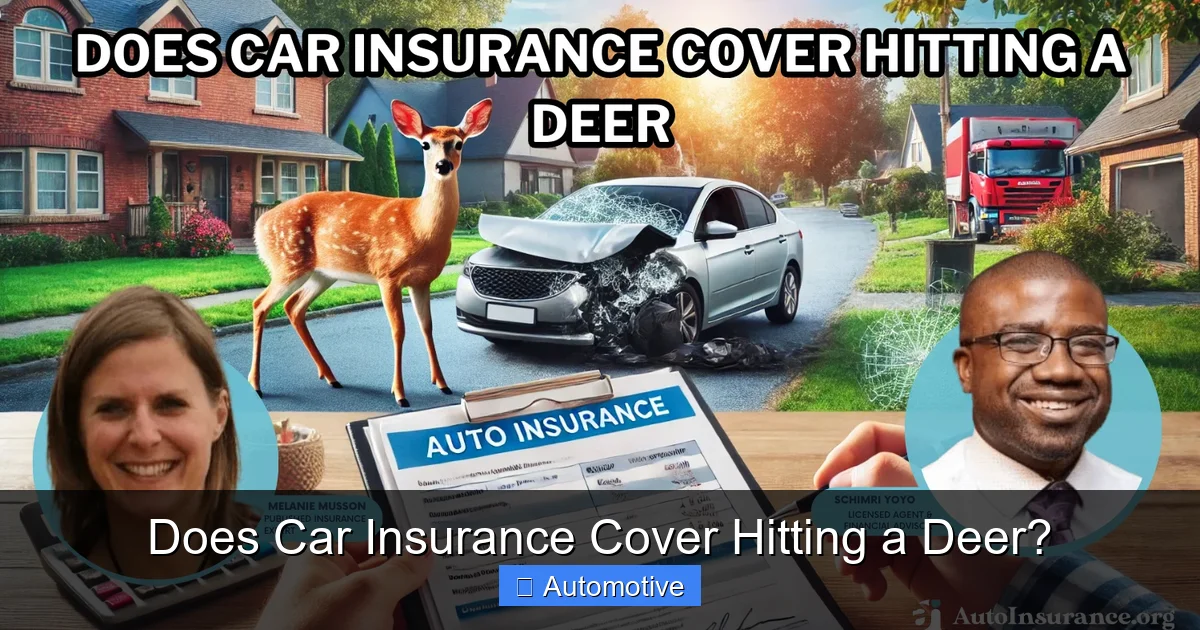Does Car Insurance Cover Hitting a Deer?